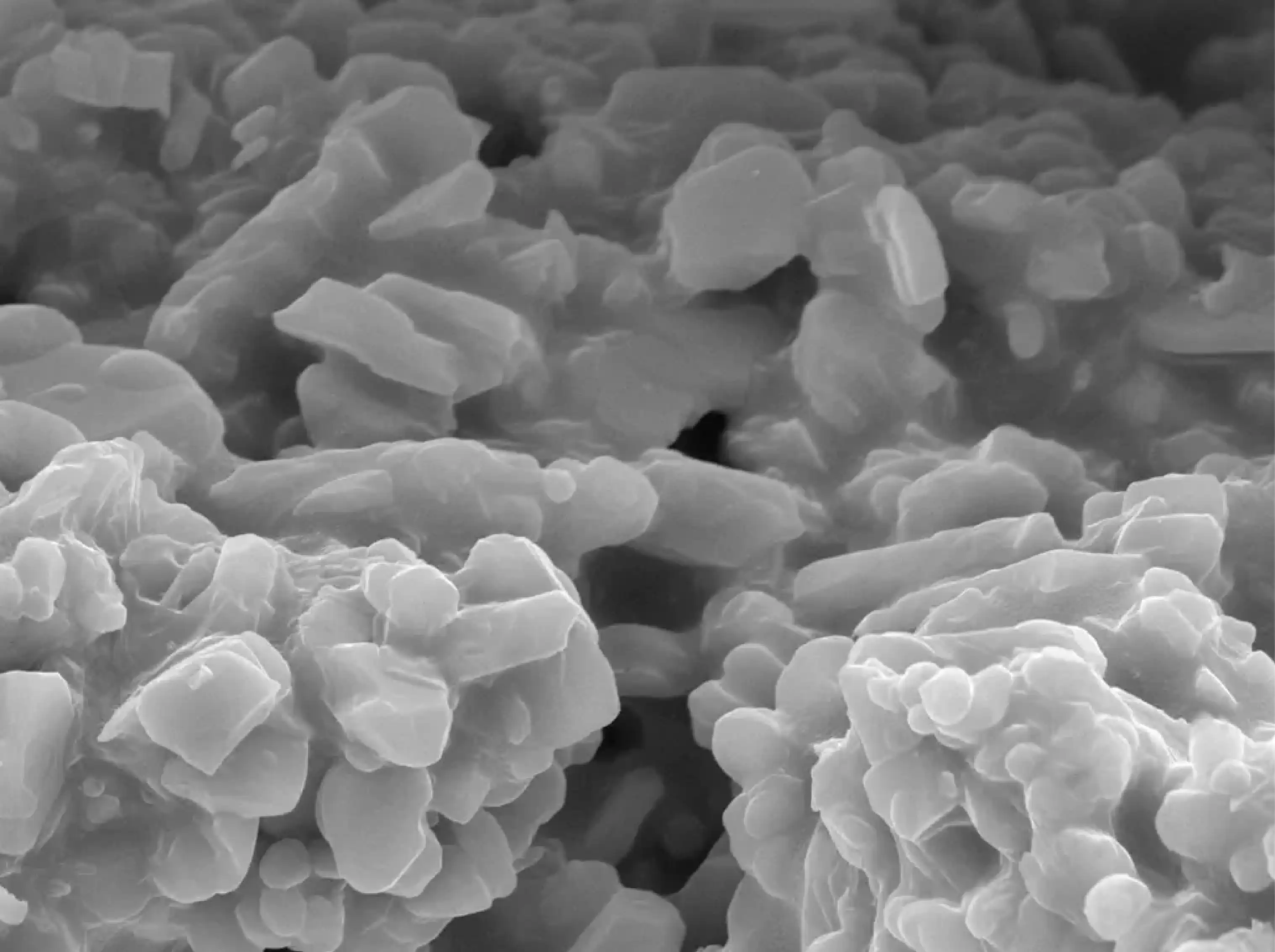 Academia and Research | Jordan